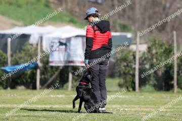 IMG_2572 (2).jpg