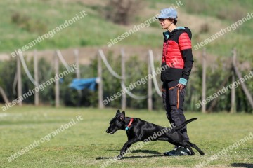 IMG_2576 (2).jpg