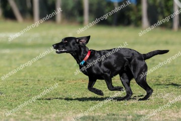 IMG_2580.jpg