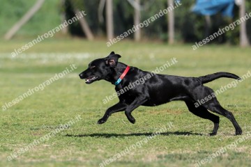 IMG_2582.jpg