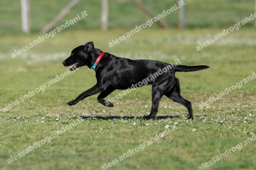 IMG_2586.jpg