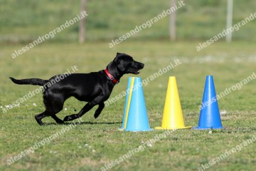 IMG_2611 (2).jpg