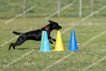 IMG_2614.jpg