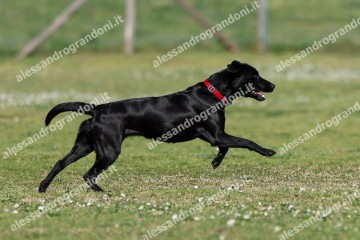 IMG_2636.jpg