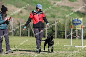 IMG_2654 (2).jpg