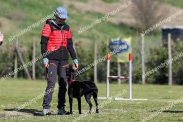 IMG_2657.jpg