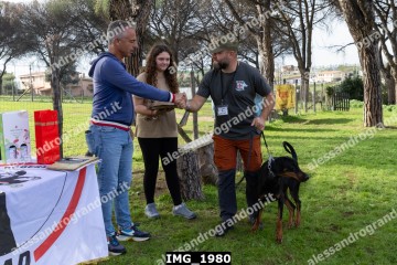 IMG_1980.jpg
