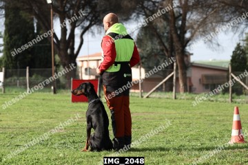 IMG_2048.jpg