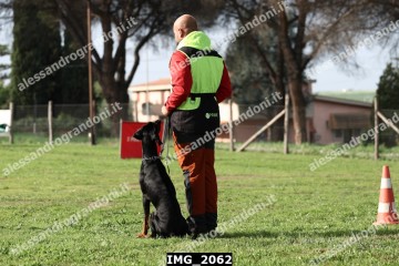 IMG_2062.jpg