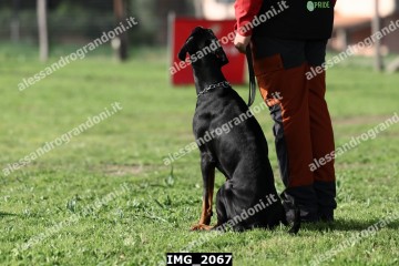 IMG_2067.jpg