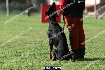 IMG_2073.jpg