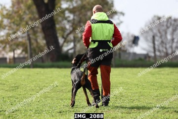 IMG_2088.jpg