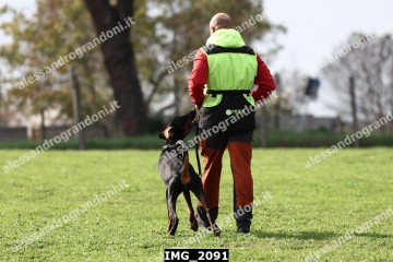 IMG_2091.jpg