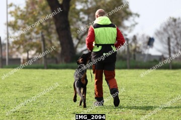 IMG_2094.jpg