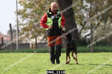 IMG_2118.jpg