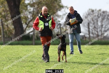 IMG_2122.jpg