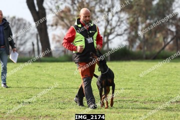 IMG_2174.jpg