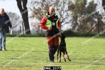 IMG_2177.jpg