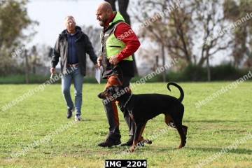 IMG_2204.jpg