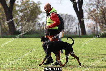 IMG_2218.jpg