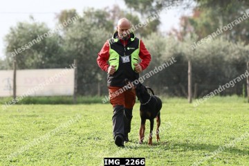 IMG_2266.jpg