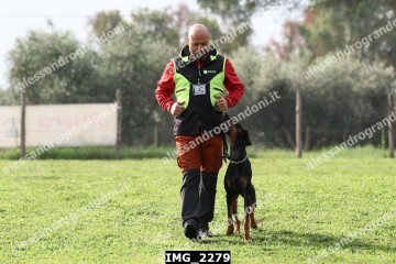 IMG_2279.jpg