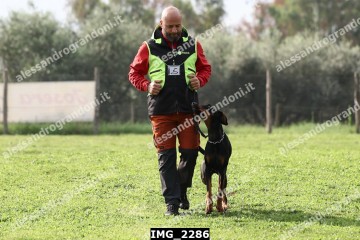 IMG_2286.jpg