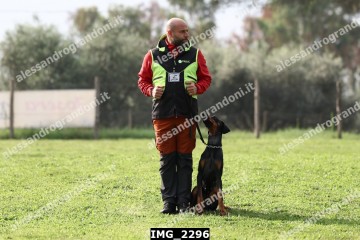 IMG_2296.jpg