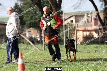 IMG_2346.jpg