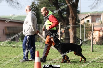 IMG_2368.jpg