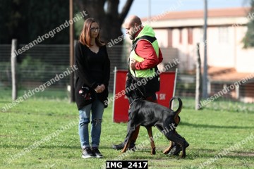 IMG_2417.jpg