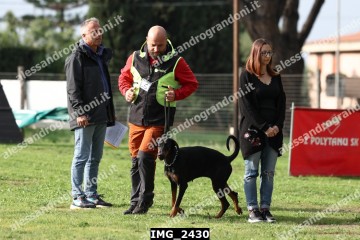 IMG_2430.jpg