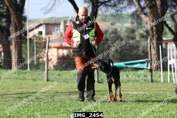 IMG_2454.jpg