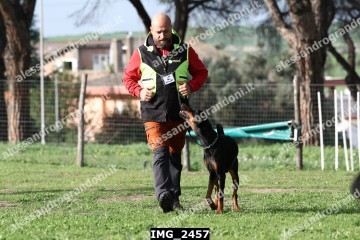 IMG_2457.jpg