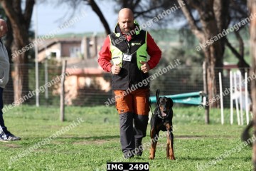 IMG_2490.jpg