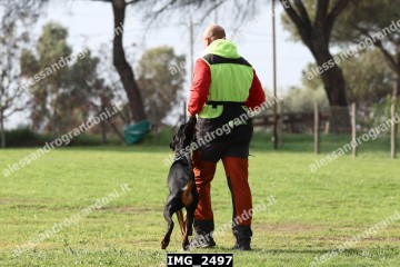 IMG_2497.jpg