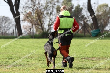 IMG_2508.jpg