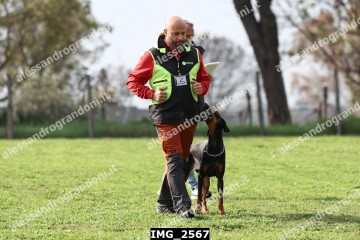 IMG_2567.jpg