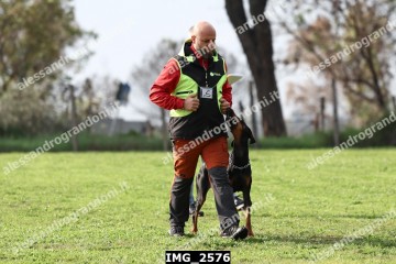 IMG_2576.jpg