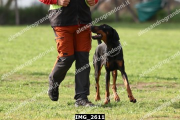 IMG_2611.jpg