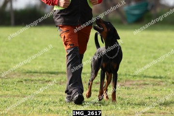 IMG_2617.jpg