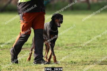 IMG_2639.jpg