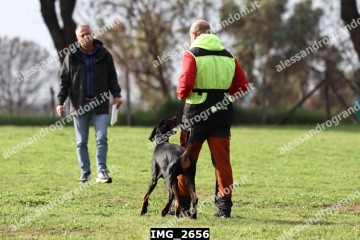 IMG_2656.jpg