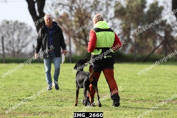 IMG_2660.jpg