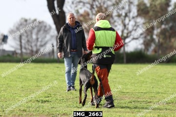 IMG_2663.jpg