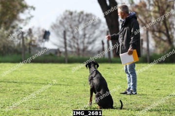 IMG_2681.jpg