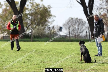 IMG_2688.jpg