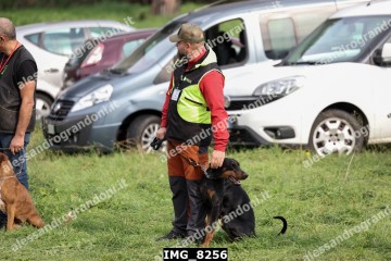IMG_8256.jpg