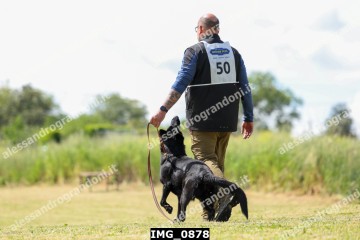 IMG_0878.jpg