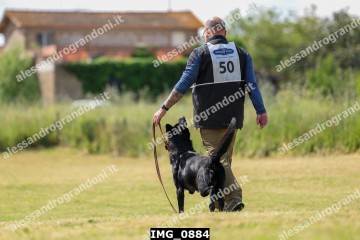IMG_0884.jpg